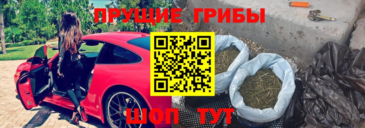 Псилоцибиновые грибы MAGIC MUSHROOMS  Вход с VPN  Джанкой 